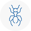 Ant Removals In Kington