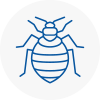 Bed Bug Extermination In Kington
