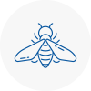 Bee Nest Removal Kington