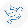 Bird Prevention Kington