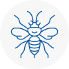 Kington Hornet Nest Removals