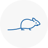 Mice Exterminators In Kington