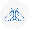 Moth Control Specialists In Kington
