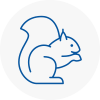 Kington Rodent Removals